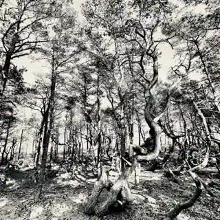 inscription 02ed4daaaf074da00bf7f8ce466c4d3e4dc05b82be21bc5fdecad7d950570d29i0