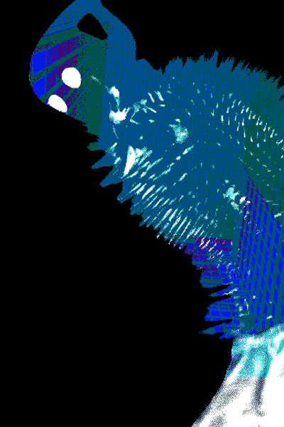 inscription 08a1e6a74c8c19124313ee9721f86607c86d8f01c40e6eebc8d8eec1c8dcffc1i0