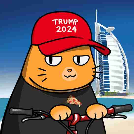 inscription 0a63c49b2fddf2188ae93bb5c8eabfa48bf1c79c8753fc07efa0e274ada3ba7ci13