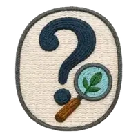 inscription 0e2c0cf266a3da5fca03369bcde2d799d6df508ec143c0cebe14add72e24b1f3i0