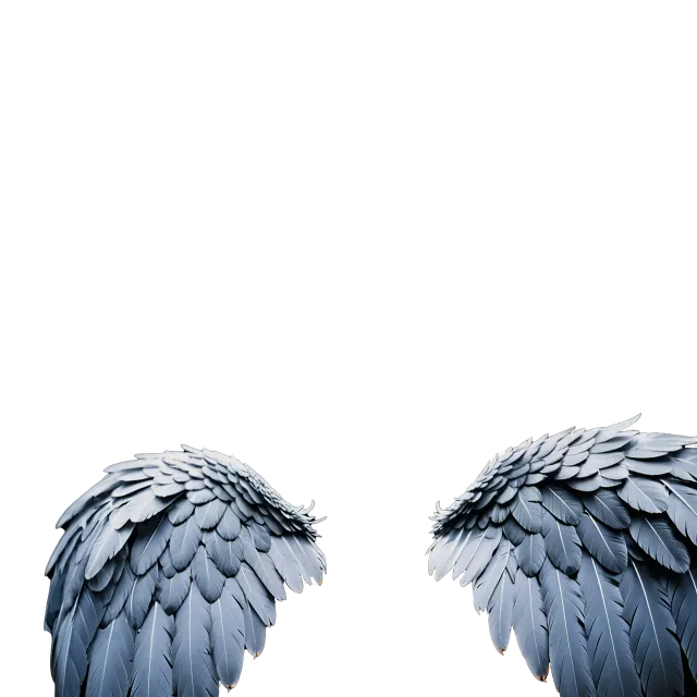 inscription 15a1c9554afe67c780fa123e859f01fe8c8870727066bd608346c8746f0df638i0