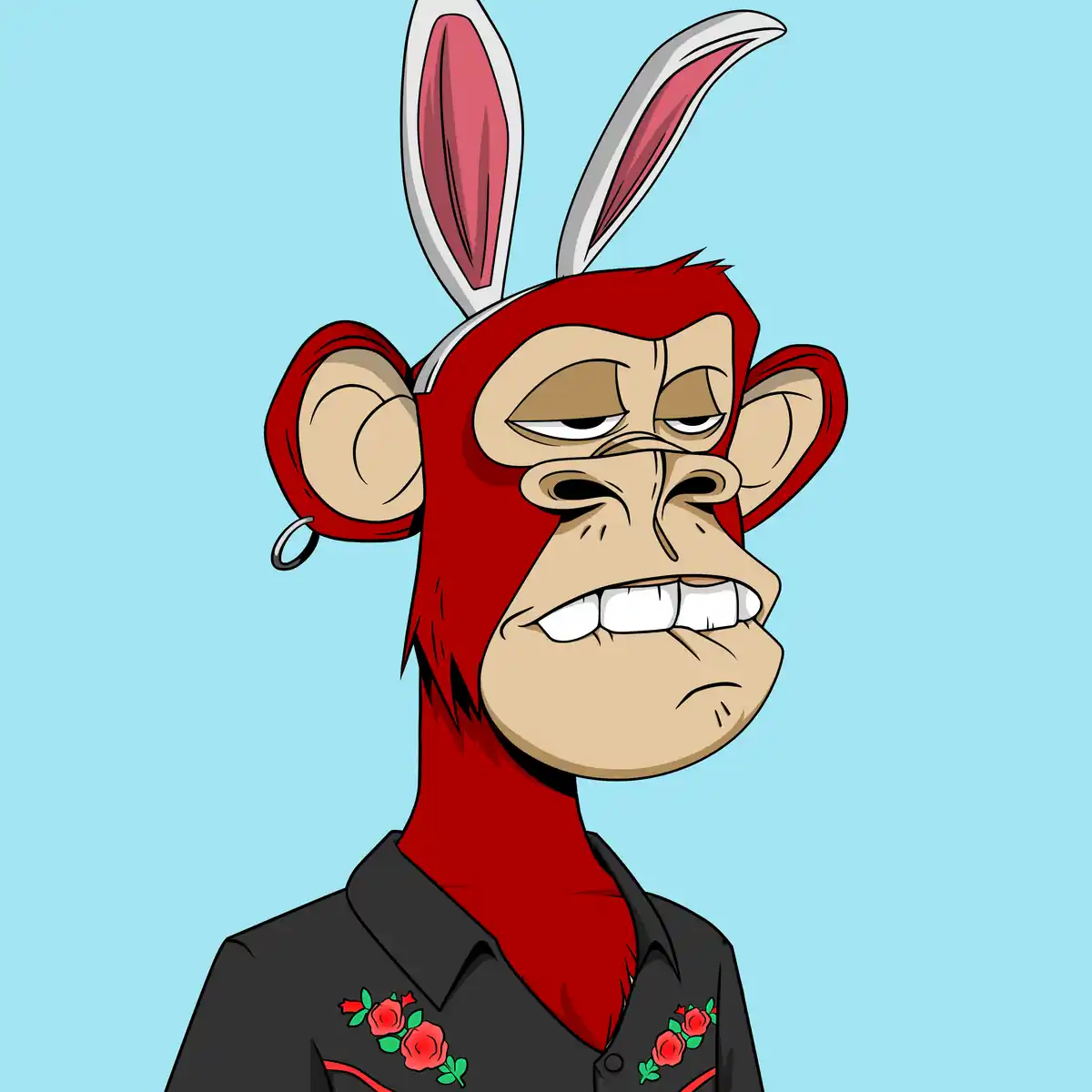 inscription 1dd700c5ec9b45a835e654c5b3ce5515280742da5dd2182e37a7276b4beaea08i0