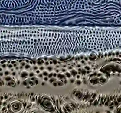 inscription 1f88e2877bbd97e7301cf68a34e8e6560e9b8aa557238d7e6b8eb628cf317f3di3