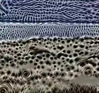 inscription 1f88e2877bbd97e7301cf68a34e8e6560e9b8aa557238d7e6b8eb628cf317f3di4