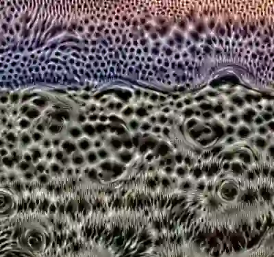 inscription 1f88e2877bbd97e7301cf68a34e8e6560e9b8aa557238d7e6b8eb628cf317f3di6