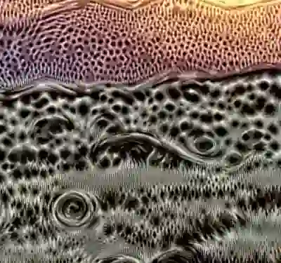 inscription 1f88e2877bbd97e7301cf68a34e8e6560e9b8aa557238d7e6b8eb628cf317f3di7