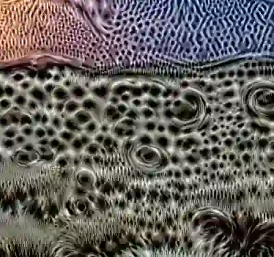 inscription 1f88e2877bbd97e7301cf68a34e8e6560e9b8aa557238d7e6b8eb628cf317f3di8