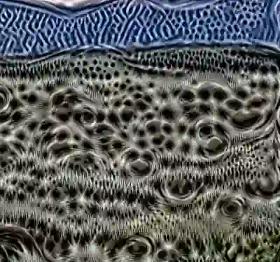 inscription 1f88e2877bbd97e7301cf68a34e8e6560e9b8aa557238d7e6b8eb628cf317f3di9