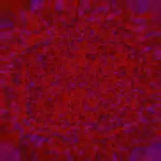 inscription 2adadc9ebcc2a0ed26a2a83a3aacee5d4e42e982819f580caee65a622a3ba17ci0