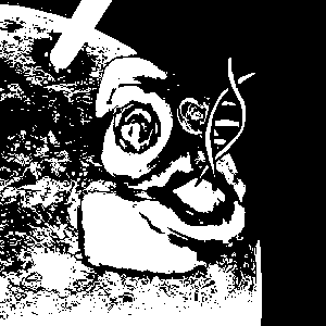 inscription 2bddf62c0e8dbba3164c7d40bdc5232ebf4d5e6f651ebedc7075fa9e91412690i0