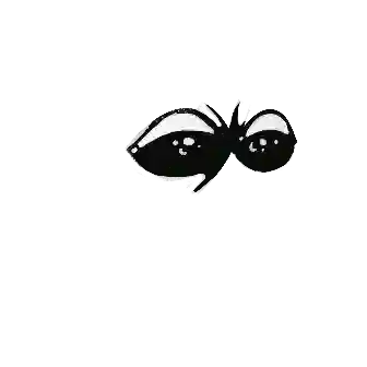 inscription 3cf66edce29efbb4685ca372e27172abbd20d27f8c08cc5b45cc19d47eb3f95ci13