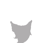 inscription 499ce616c7644f8218c4bc401d377a52b9db07e52ecbea845fd4e3a9d054e484i70