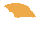 inscription 499ce616c7644f8218c4bc401d377a52b9db07e52ecbea845fd4e3a9d054e484i92