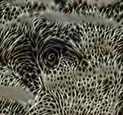 inscription 4a2361681d8670b7c5dfd63d347328d27b2860e4629c86a2f9d457cc2357e5cdi6