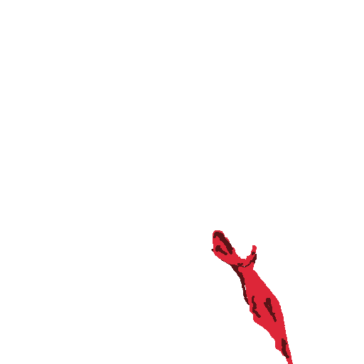 inscription 602860b46bb1a37aa5a5f7bf931b1e3b58253c7aa6c1ec39f743429eeb4d303ai0