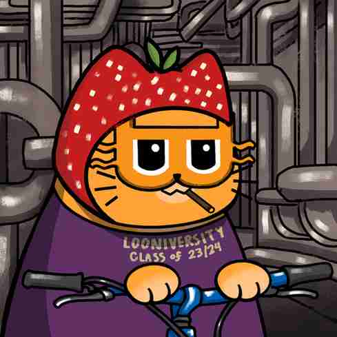 inscription 662dc94f668d12882ebe28ff8864ccb83e2fc93cd112c6e8a307a0ca4e64142di6