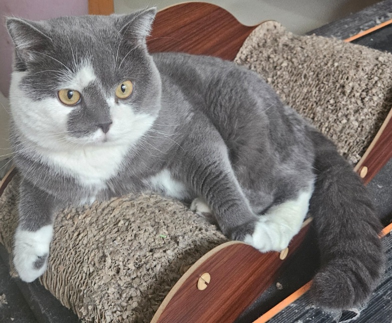 inscription 6b078f2a0ec8f6475ea0eff21377222dcd2d54e5c24f8ee80b9a47e67dd2870fi0