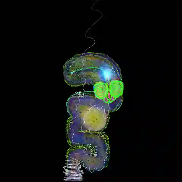 inscription 6f6fd4bdb6d1b58d3ada1eff156c0c450ce40cead9347dfd2fd01715ea4344a4i21