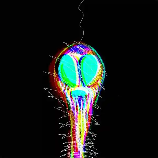 inscription 6f6fd4bdb6d1b58d3ada1eff156c0c450ce40cead9347dfd2fd01715ea4344a4i9