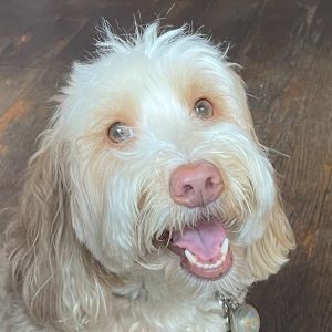 inscription 78993a08d8f0ef836c8e0d562c35f4cd87b2e1e2bb4855e2d775ae6376ab389ei0