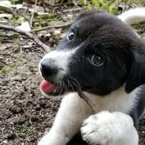 inscription 859991c804e477aac0922f7af8e5c083bb32efecddd3f1375ceff06f5e477628i0