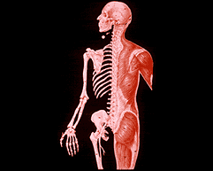 inscription 882dc152f01e05caae17a5460ddffa4e00edb4de2bded107e451b26336f674e8i0