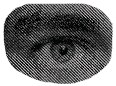 inscription 9321c19a2b2feec61e738f30a46e9148762ec04e0230ea0eabe11cb1aa92f08fi7