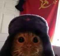 inscription 948b0f363b686598484c9f373971fcce2db6ff3da5502aef4d9ea8202e5f0769i0