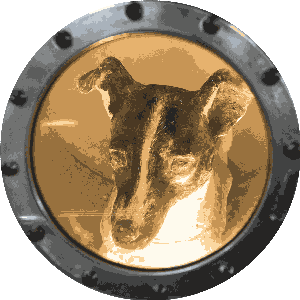 inscription 98b97f6e1037bf43586761c04644c196aae991699235ee671a6f46f38ce27633i0