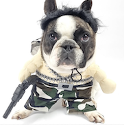 inscription 98c84587f974984aacf6d9d5643a7ff371330ac4e89b083df6953ecb2cc41826i0