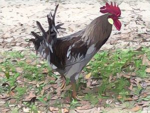 inscription 994635a419c6f11dab84e1bd8919f489a8679052dbe633459b336cd3eb47a967i0