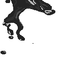 inscription 9998a0eb4a80255352e67e09fa93d3dcd9c55033f17496afd7d92d975df9e4a1i6