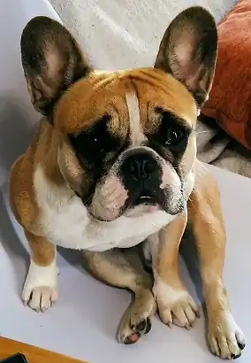 inscription 99fcaa960f954bb2a9d33e5b7d9730dd22facb7aeb0050ae35dad49ea082b96ci0