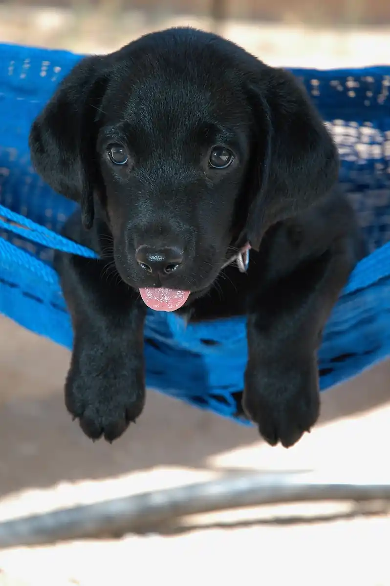 inscription 9f8d37c4e1d123a6b11d4b4a6bd32d0bb4d8d3e4d316634a0659f7de142f2ee5i0