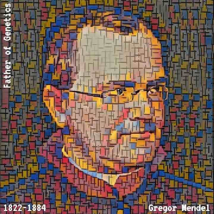 inscription ac65c8a88cc1196f3f5950e052b705d4fa9a2c78458c8e142547f4e652952458i0