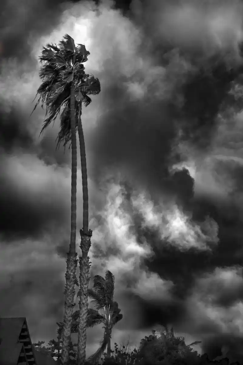 inscription b0410c028e6adc8a1b85f33ad3decbd87d2b3cdd9cf2b61c3d952d855f0b4054i0