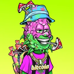 inscription b588a9aace90e095bb1f9f7b4d05fa142e2ef9b0c0eefa0ef488eaaea5b6b05ci0