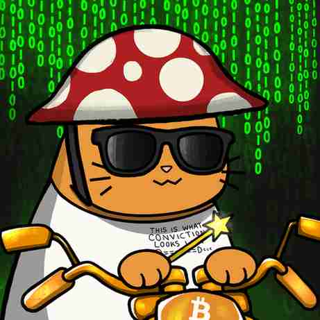 inscription b5c95af85b0e9971088788be54613dfd44d8b85a45fd7ad3179a84dd6859ac1bi6