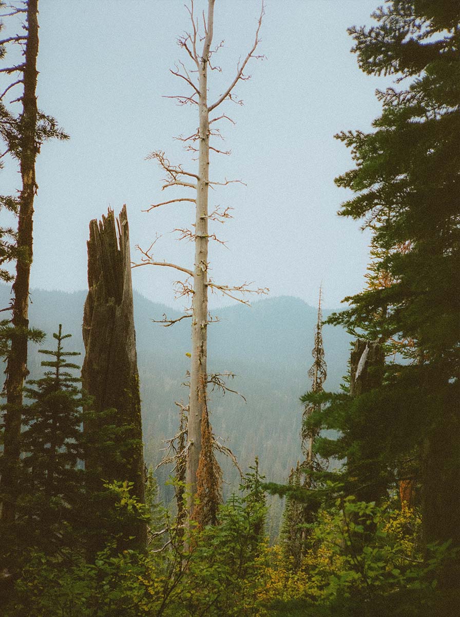 inscription b968a95cea00448bd15e702befe8cdf572ee265b91bbf5efbb6fb70c4eb4c6fbi0