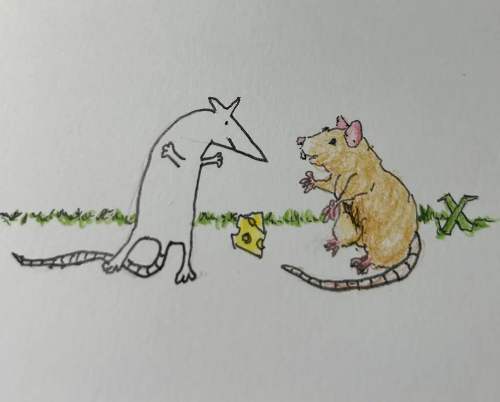 inscription c18b2db646cd23b9745bd40a249fc84975b1105a637f3784aa4dbd46a839750fi0