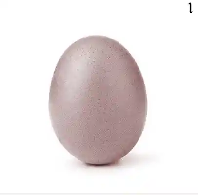 inscription c792b7fbe3e8d3a167f761259f7de7880fb19b4d5541a8bfea577f2bf294e13ei0