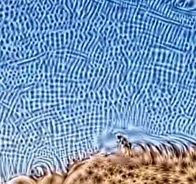 inscription d702e9d52ed640117fcbdfada9bb2a8718fcf968cf7d85db4bc256889937d8d8i1