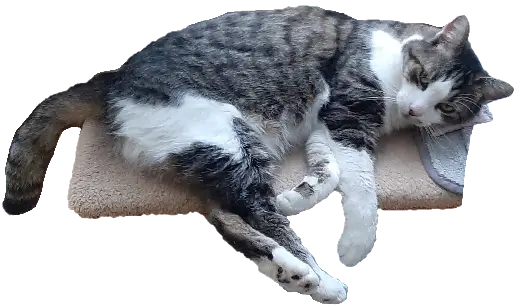 inscription e01ac28c36593ba35a3a49057f3338530ca2effdb67997acd1c035683687d9cci0