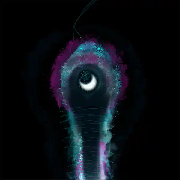 inscription e169731f70207387c524b1204f8c97bfccce2ba4d5d5e5ad1aa6018adc2b7482i28