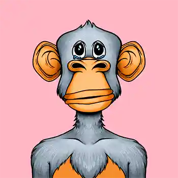 inscription e593d256d85e89aaad2e9ddf857ce97b65a67d754c232cee4bd254c826fcd437i0