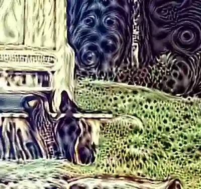 inscription ea4f8052d4eab1bb386065141dc3599c39efd73c9b4ff3dc2a336da7f6eec0e1i6