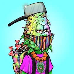 inscription ebf33d0ea35964694cc3a3ab7aa547a328cd9f45bdfd4360df840a3f8fd07e0bi0