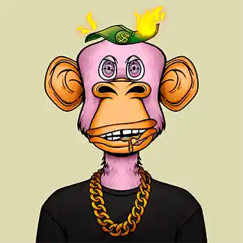 inscription ee5ef688b95f83dbcde0bc2b577e9d19697cb7fc7e745d235f72e4afa9dcc02ci0