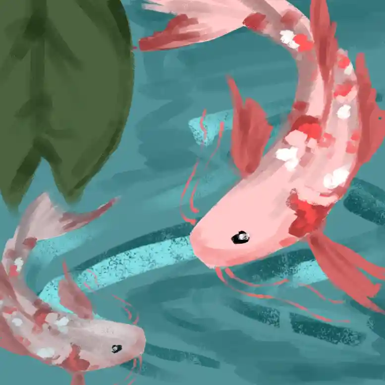 inscription f9c1b208f07a6bd9173c813f969b71da249f6c929fdf0abde689bb55f6154aa7i2