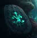 inscription fe8b8cbca51aa4cff3c96c0e2ae145387c614a678cd243e1ee20f54f62884a65i0